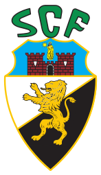 仁川联